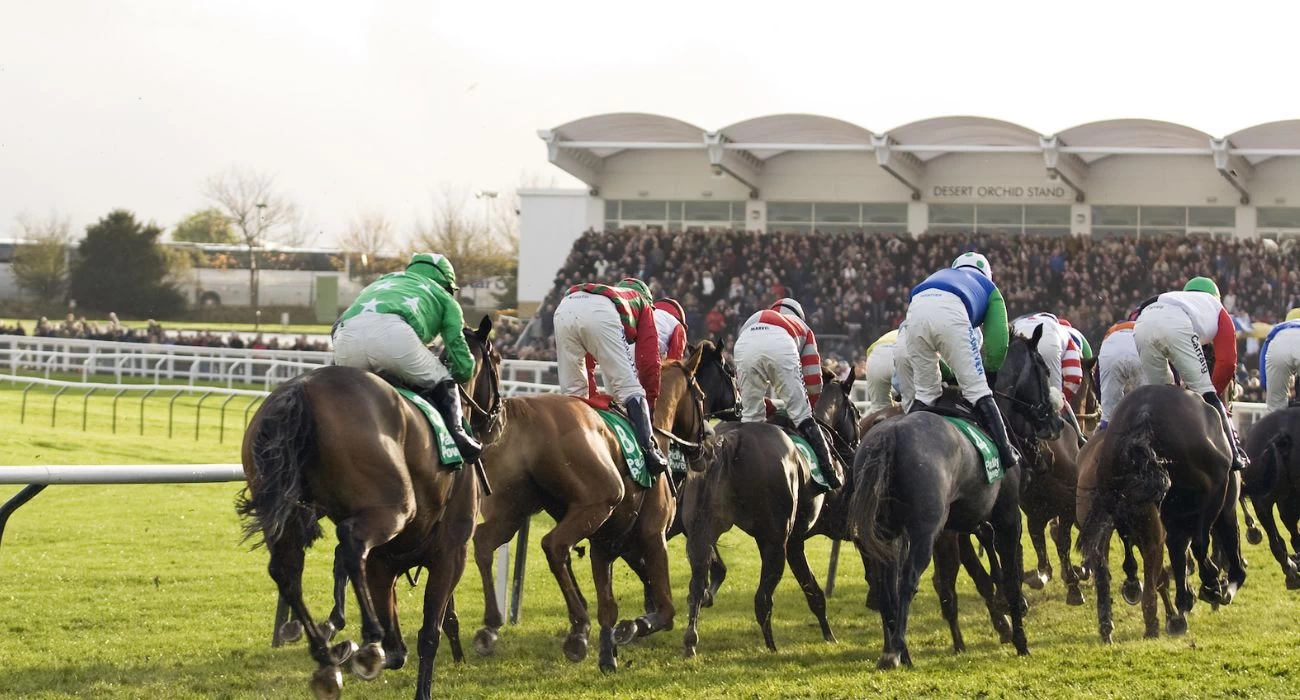 Horse Racing Betting Tips